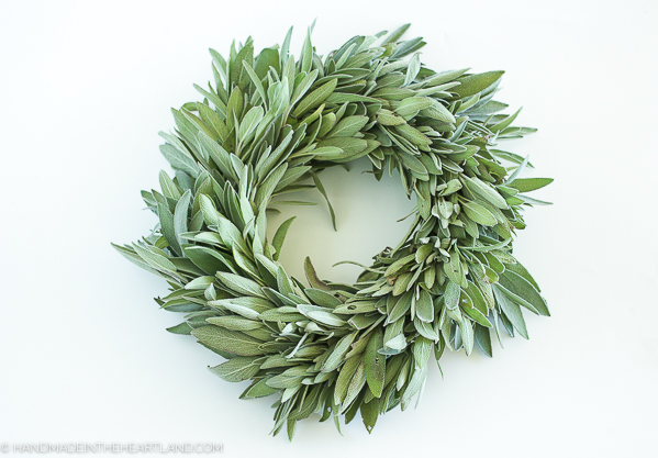 fresh sage wreath 