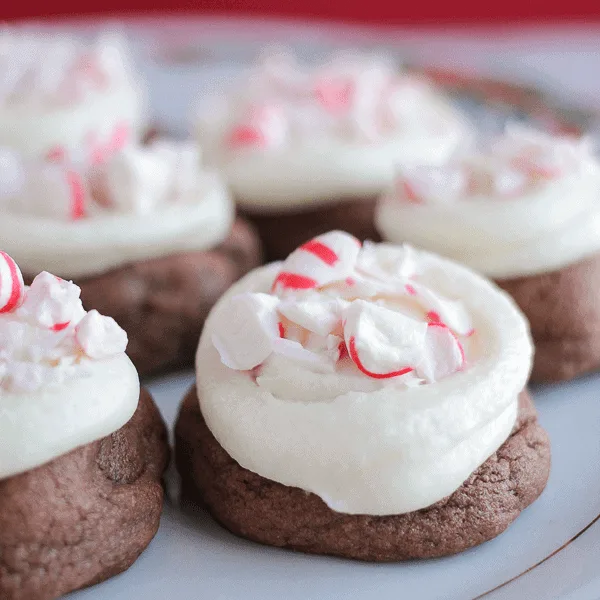 chocolate peppermint pudding cookies