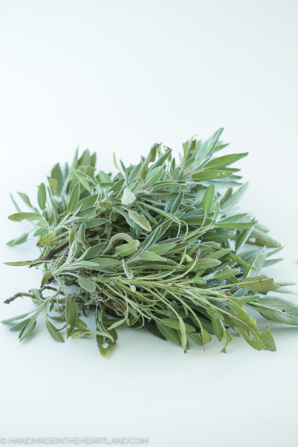 bunch of fresh sage