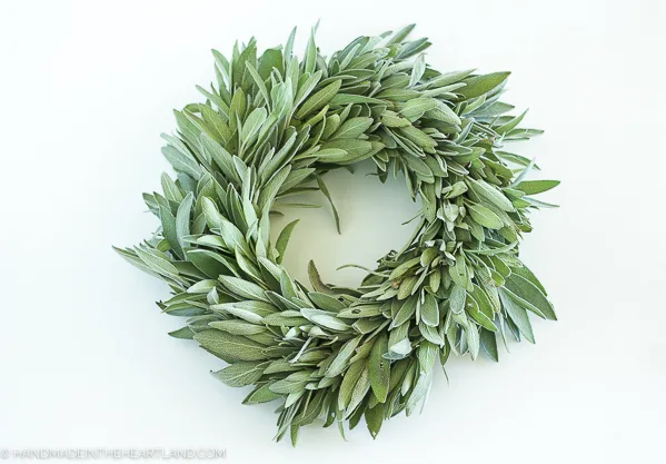 Fresh Sage Wreath