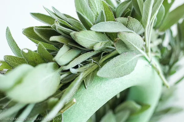 image showing floral pins securing fresh sage on to wreath form