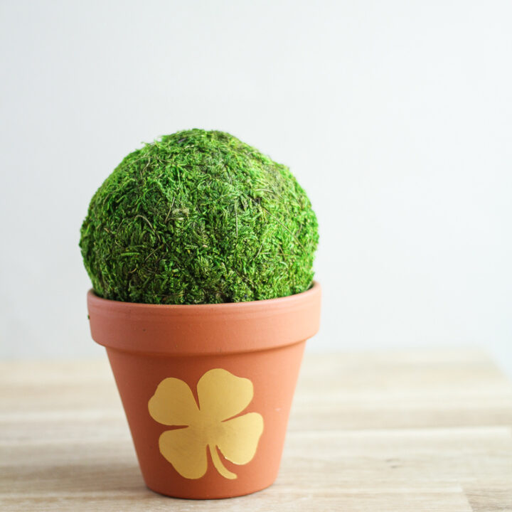 A small terracotta pot with painted 4 leaf clover