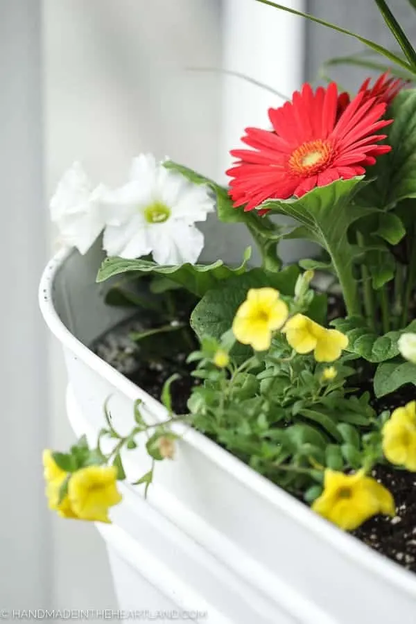 How to plant the perfect spring flower pots for your front porch