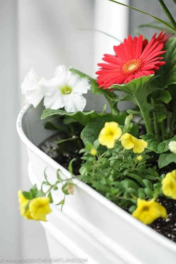 The Perfect Spring Flower Pots