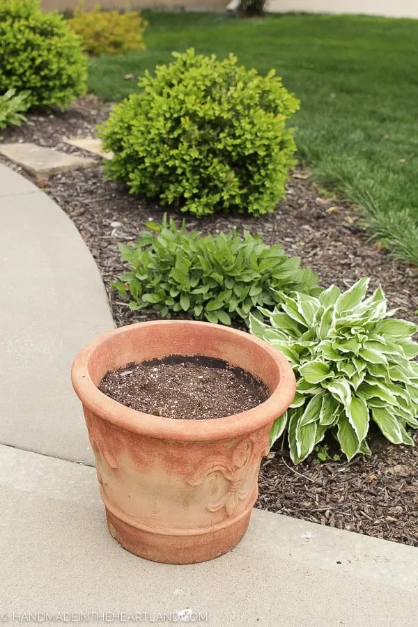 Pick the Perfect Pot - FineGardening