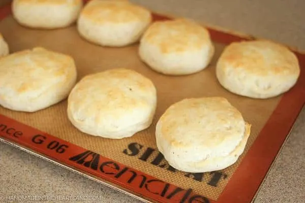 Image of biscuits for turkey a la king