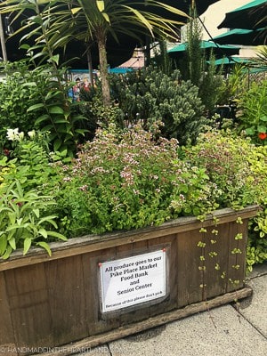 rooftop garden at Pike Place Market