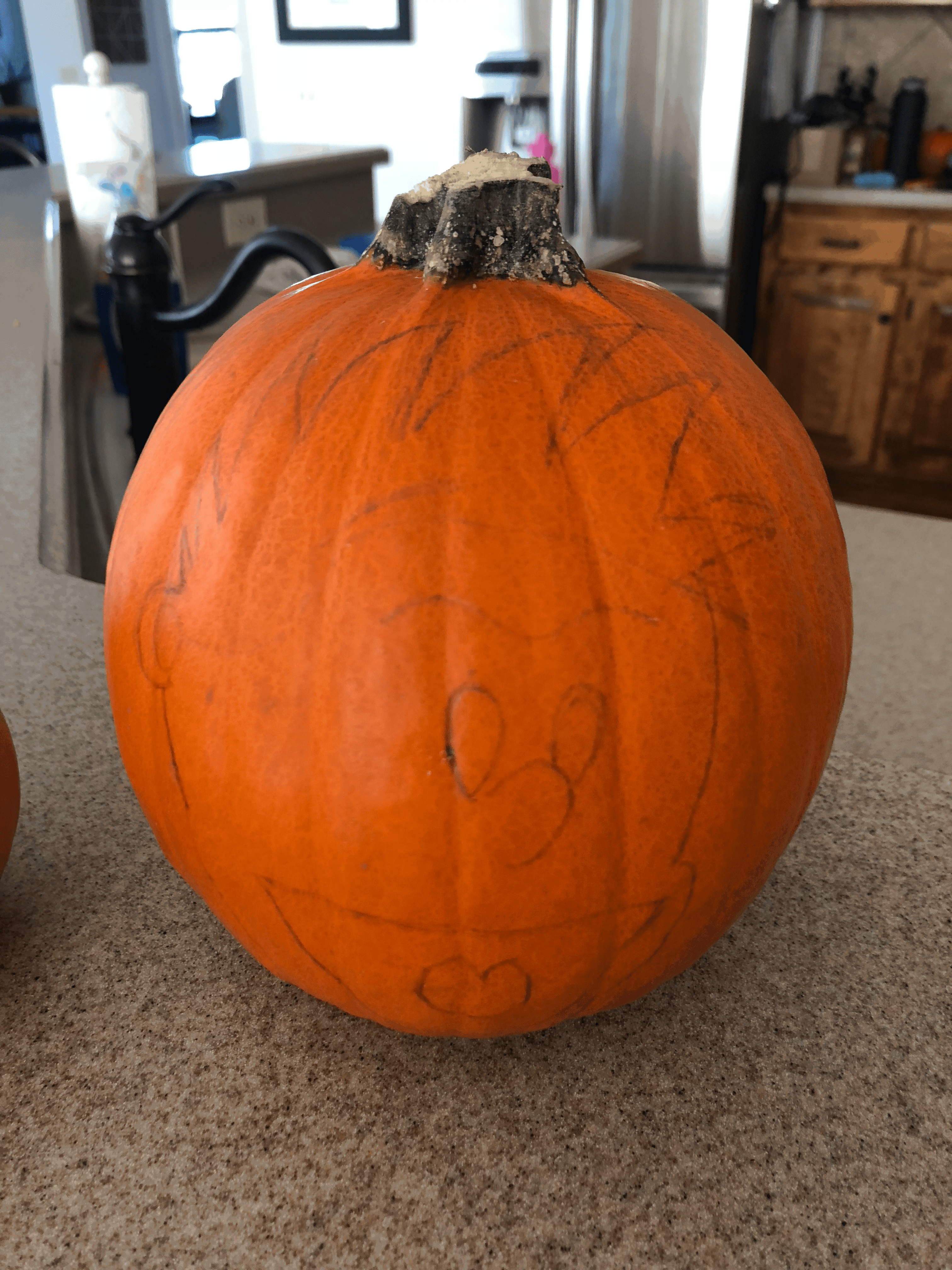 pencil drawing on pumpkin to outline before painting
