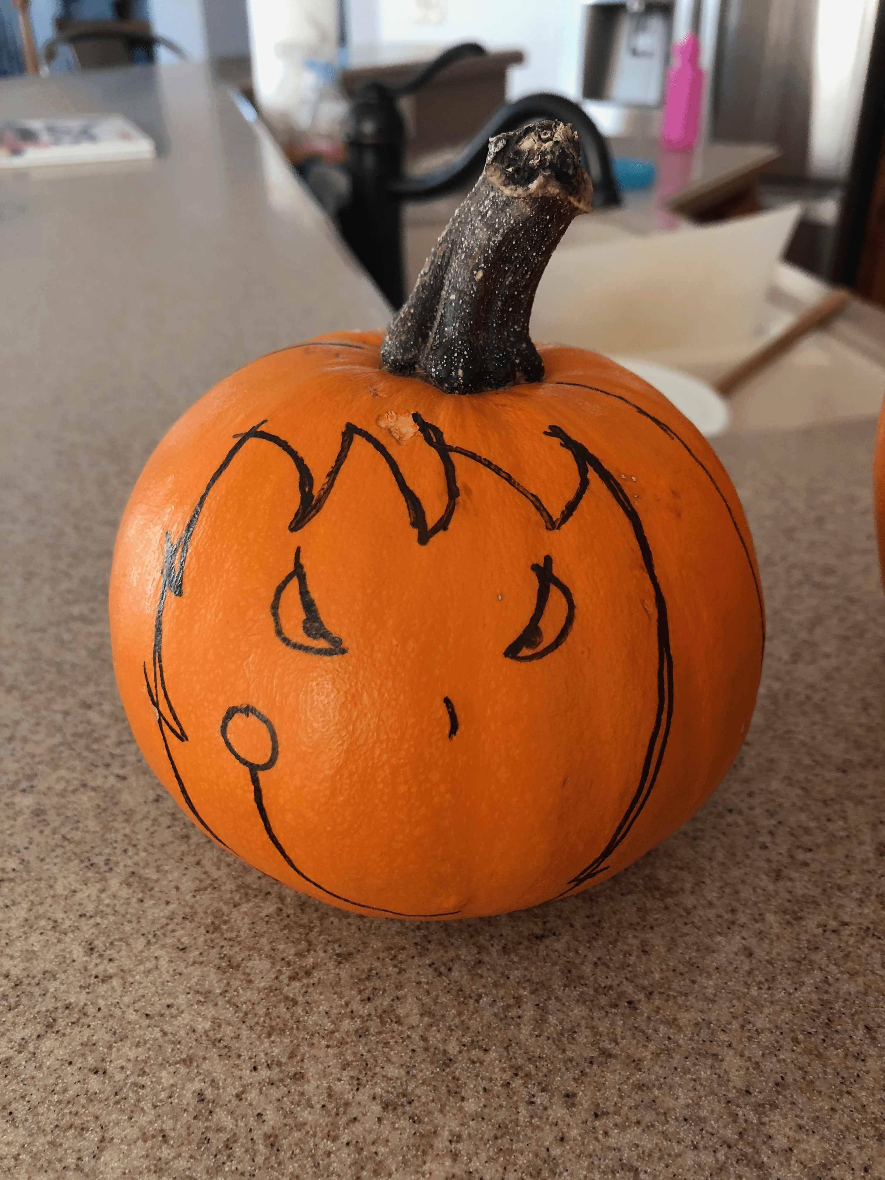 sharpie drawing on pumpkin before painting pumpkin