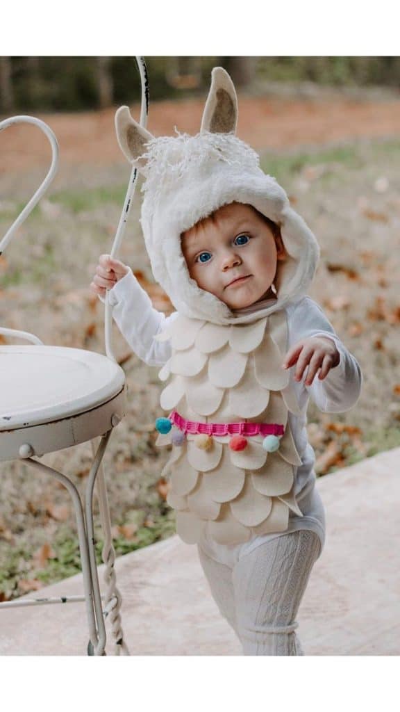 The Best Etsy Baby Halloween Costumes - Handmade in the Heartland