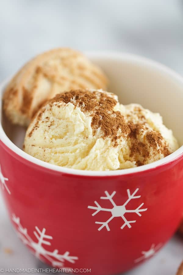 Easy Ninja Creami Eggnog Ice Cream - Family Favorite Holiday Recipes