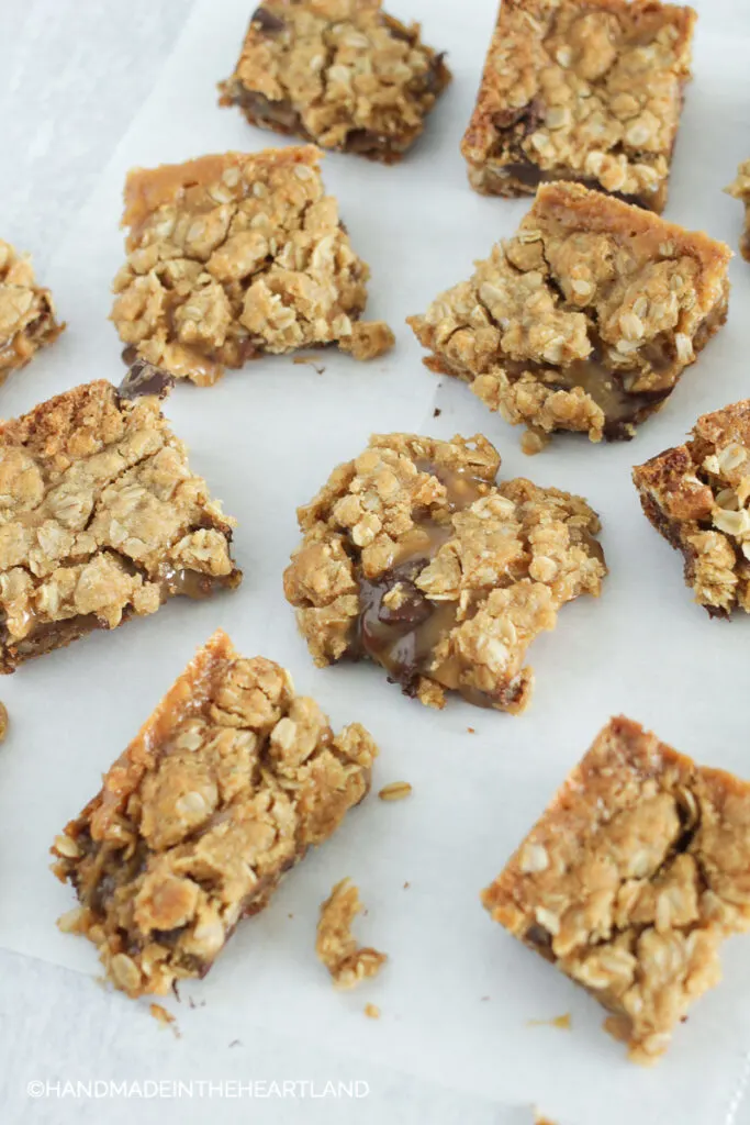 squares of salty carmelitas: cookie bars with oatmeal cookie crust, chocolate caramel center and sea salt on top