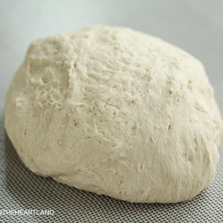pizza dough ball sitting on nonstick mat
