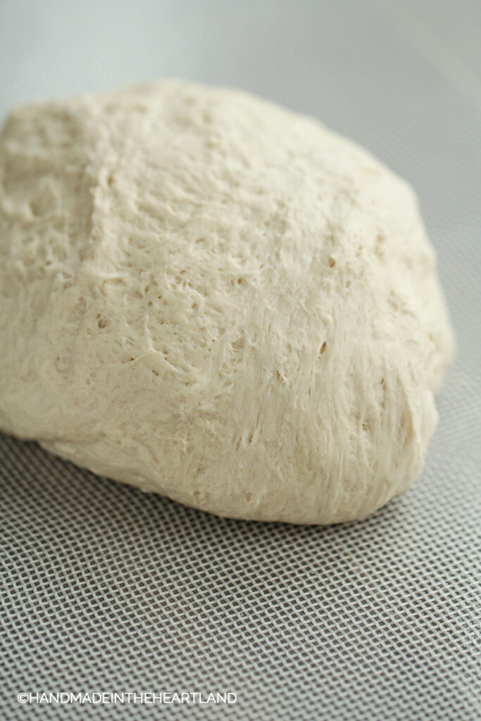 pizza dough ball sitting on a nonstick counter mat