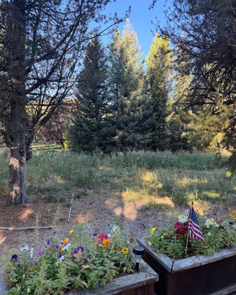 The backyard to our cozy VRBO cabin with flower boxes and wooded privacy