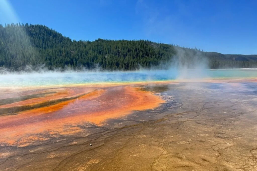 a photo of the grand prismatic spring at Yellowstone from the ground boardwalk
