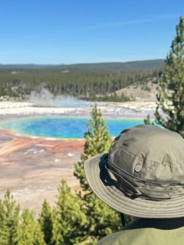 Grand prismatic from the overlook hike viewing point