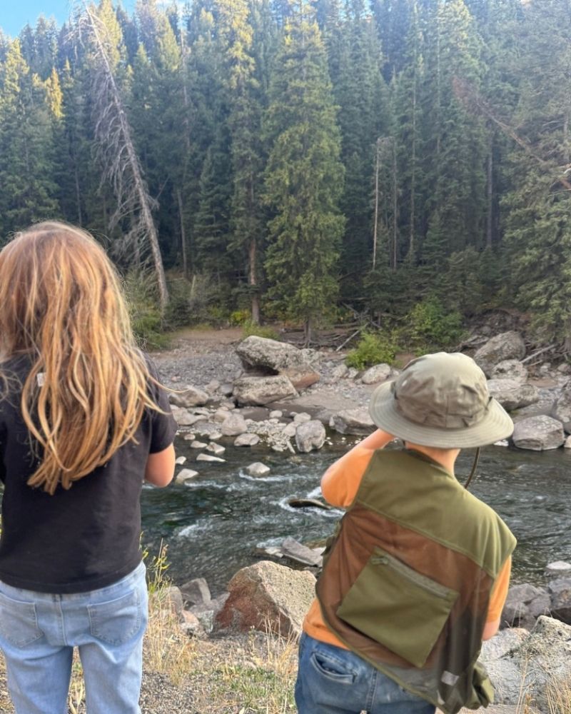 kids looking for animals in Yellowstone National Park